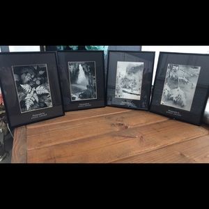 4 black framed Ansel Adams photos